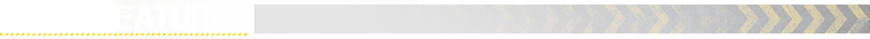 GAME FEATURES